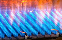 Fulking gas fired boilers